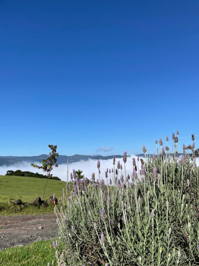 Pousada Colina Dos Ventos - Cabana Alpha Urubici Esterno foto